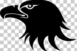 Eagle PNG, Clipart, Eagle Free PNG Download