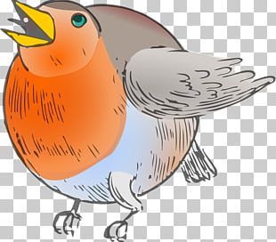 European Robin Bird Cartoon PNG, Clipart, Ame, Animals, Balloon Cartoon ...