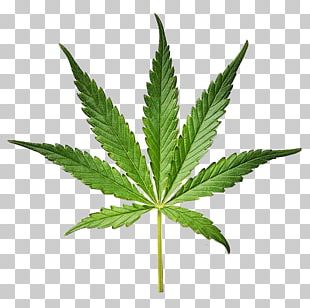 Blunt Joint Cannabis Smoking Hand PNG, Clipart, Arm, Art, Black, Black ...