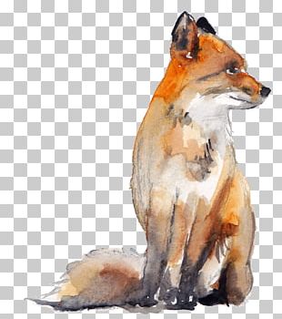 Red Fox Watercolor Painting Drawing Art PNG, Clipart, Art, Artist, Art ...