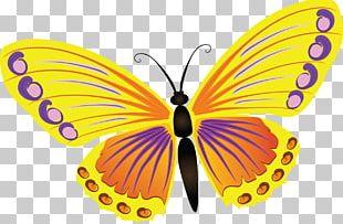 Butterfly Insect Color PNG, Clipart, Black Butterfly, Blue, Brush ...