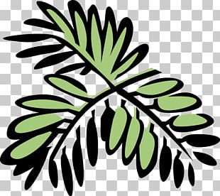 Plant Stem Flower Leaf Fruit PNG