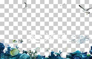 Seabed Underwater PNG