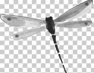 Raster Graphics PNG