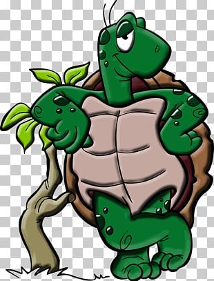 Cartoon Tortoise PNG Images, Cartoon Tortoise Clipart Free Download