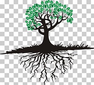 Root Tree Branch Cartoon PNG, Clipart, Artwork, Branch, Cartoon ...