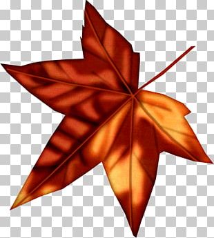 Maple Leaf Red Maple Icon PNG, Clipart, Abstract, Autumn, Autumn Leaf ...