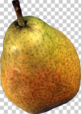 Undertale Papa Pear Saga Sprite Jogo de vídeo, sprite, jogo, rede de  computadores png