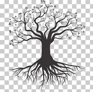 Drawing Tree Root PNG, Clipart, Art, Artwork, Branch, Drawing ...