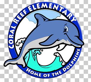 Coral Reef High School Coral Reef Elementary School National Primary School Student PNG
