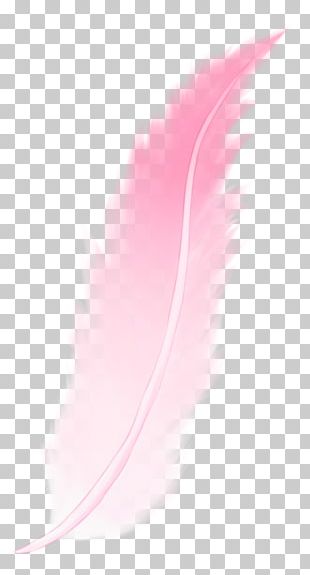 Pink Feather White Transparent, Pink Feather, Feather Clipart