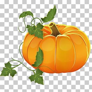 Download Pumpkin Patch Pictures Clipart Images