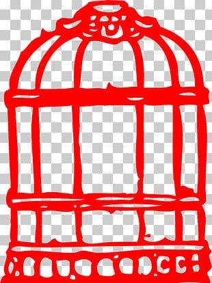 Parrot Birdcage Cartoon PNG