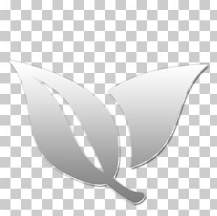 Leaf Font PNG