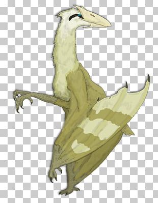 Reptile Bird Common Iguanas Forelimb Quadrupedalism PNG
