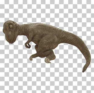 Tyrannosaurus Rex PNG - Baby Tyrannosaurus Rex, Cute Tyrannosaurus Rex. -  CleanPNG / KissPNG