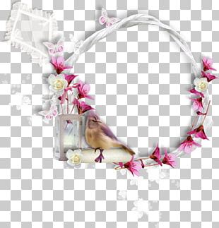 Frame Photography Information PNG, Clipart, Border Frame, Chinese Frame ...