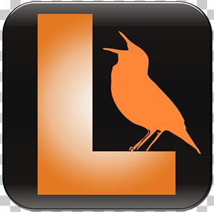 Bird Vocalization Beak Birdwatching App Store PNG