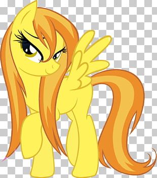 Rarity Fluttershy Pony Rainbow Dash Twilight Sparkle PNG