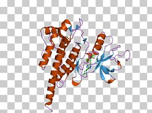 ABL2 Oncogene Enzyme PNG
