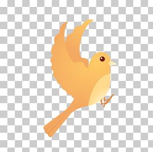 Bird Flight Bird Flight PNG, Clipart, Animation, Art, Beak, Bird, Bird ...