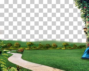 Garden Green Grass Background PNG, Clipart, Background, Background Clipart,  Forest, Garden, Garden Background Free PNG Download