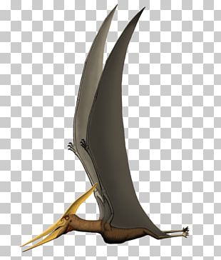 Zhejiangopterus Quetzalcoatlus Pterodactyls Pteranodon Pterosaurs PNG ...