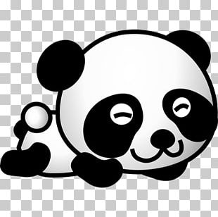 Giant Panda Drawing Cuteness PNG, Clipart, Artwork, Bear, Black And ...