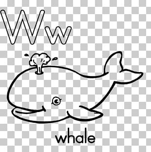 Coloring Book Alphabet Letter W Educational Game PNG