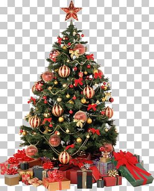 Candy Cane Christmas Tree PNG, Clipart, Candy Cane, Christmas ...