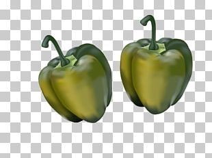 Bell Pepper Chili Pepper Paprika Peppers Adobe Illustrator PNG