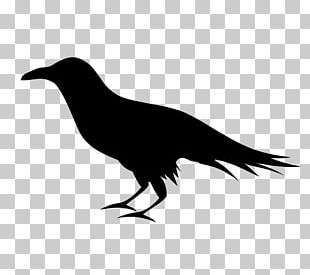 Common Raven Tattoo The Raven Drawing Baltimore Ravens PNG, Clipart, 3d  Animation, Animal, Animals, Animation, Anime