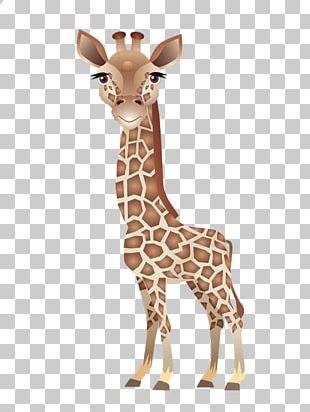 baby giraffe clip art png