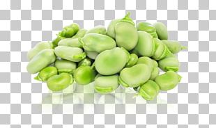 Green Bean Vegetable Garlic PNG, Clipart, Bean, Broad Bean, Capsicum ...