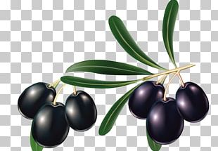 Mediterranean Cuisine Olive Oil Olive Leaf PNG