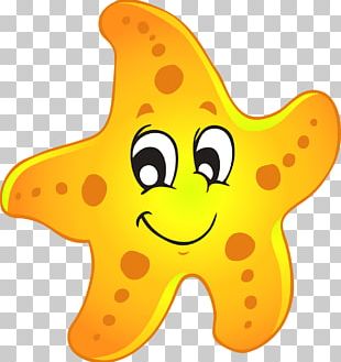 A Sea Star Starfish PNG, Clipart, Animals, Aquatic Animal, Beautiful ...