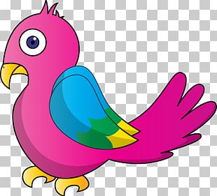Bird Parrot Cartoon PNG