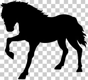 Horse Drawing Vecteur PNG, Clipart, Animals, Black, Cartoon, Cartoon ...