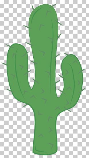 Desenho de cacto verde, Cactaceae Cartoon Saguaro, Cartoon Cactus s, folha,  vertebrado png