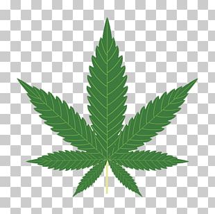 Cannabis Sativa Marijuana Plant PNG, Clipart, Cannabis, Cannabis In ...