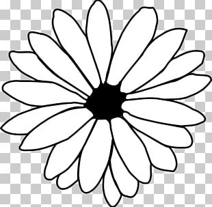 black and white 3 flowers outline