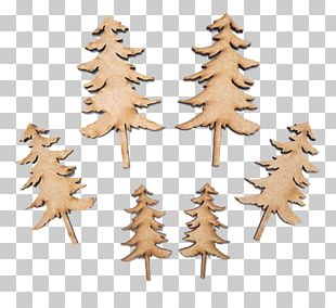 Christmas Tree Fir Medium-density Fibreboard Wood PNG