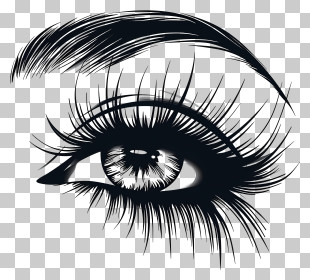 Sexy - Detailed Illustration Of An Eye With Long Eyelashes PNG