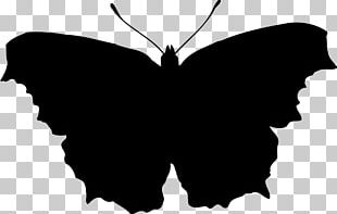 butterfly silhouette png images butterfly silhouette clipart free download butterfly silhouette png images