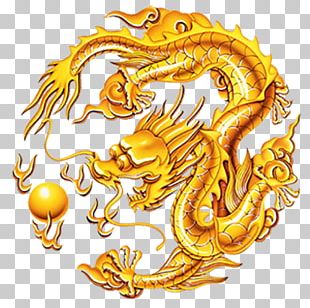 China Chinese Dragon Japanese Dragon Tianlong PNG, Clipart ...