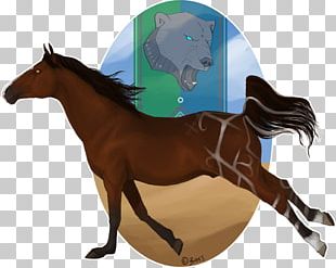Mane Mustang Stallion Rein Pony PNG