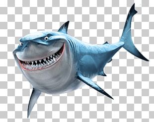 Bruce Great White Shark Finding Nemo PNG, Clipart, Anchor, Animal ...