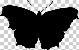 butterfly silhouette png images butterfly silhouette clipart free download butterfly silhouette png images