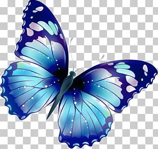 Cartoon Blue Butterfly PNG, Clipart, Blue, Blue Clipart, Butterfly ...