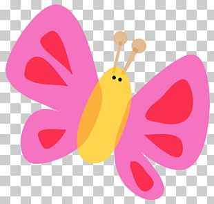 Butterfly Insect Giant Panda PNG